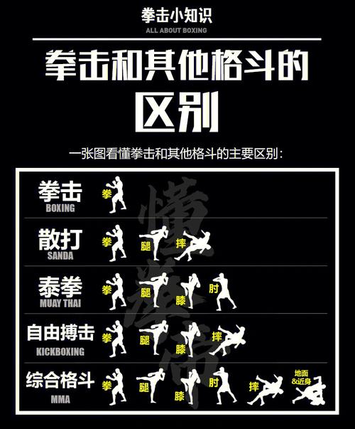 拳击比赛级别怎么分类,拳击比赛级别怎么分类的