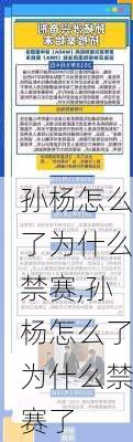 孙杨怎么了为什么禁赛,孙杨怎么了为什么禁赛了