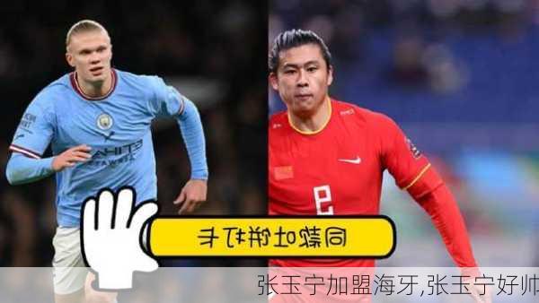 张玉宁加盟海牙,张玉宁好帅