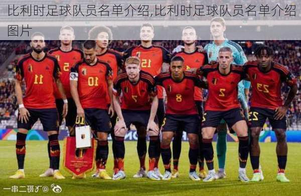 比利时足球队员名单介绍,比利时足球队员名单介绍图片