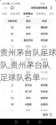 贵州茅台队足球队,贵州茅台队足球队名单