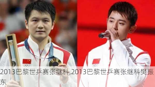 2013巴黎世乒赛张继科,2013巴黎世乒赛张继科樊振东