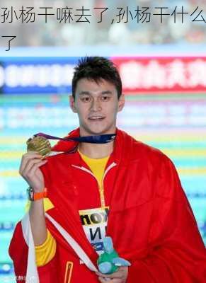 孙杨干嘛去了,孙杨干什么了