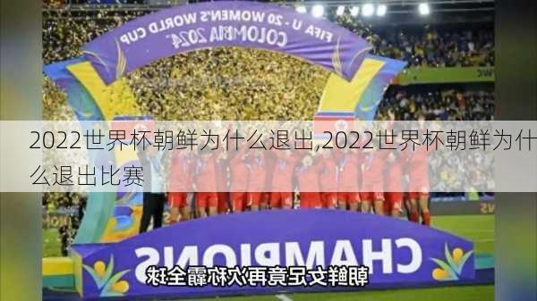 2022世界杯朝鲜为什么退出,2022世界杯朝鲜为什么退出比赛