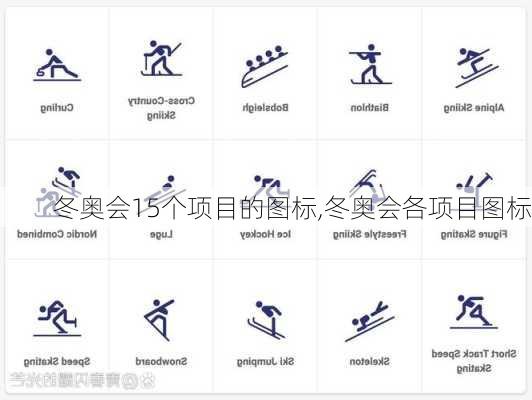 冬奥会15个项目的图标,冬奥会各项目图标