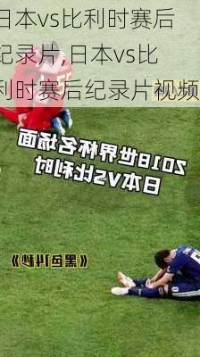 日本vs比利时赛后纪录片,日本vs比利时赛后纪录片视频