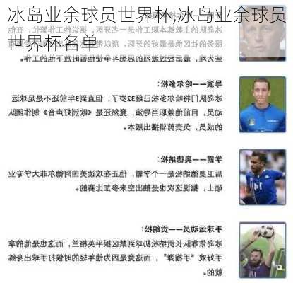 冰岛业余球员世界杯,冰岛业余球员世界杯名单