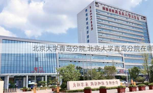 北京大学青岛分院,北京大学青岛分院在哪