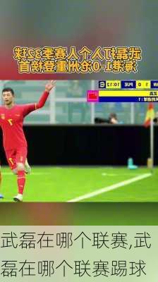 武磊在哪个联赛,武磊在哪个联赛踢球