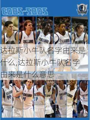 达拉斯小牛队名字由来是什么,达拉斯小牛队名字由来是什么意思