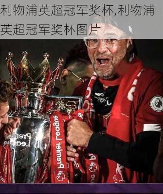 利物浦英超冠军奖杯,利物浦英超冠军奖杯图片
