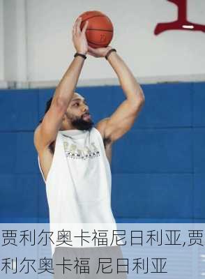 贾利尔奥卡福尼日利亚,贾利尔奥卡福 尼日利亚