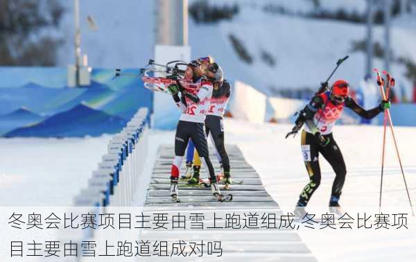 冬奥会比赛项目主要由雪上跑道组成,冬奥会比赛项目主要由雪上跑道组成对吗