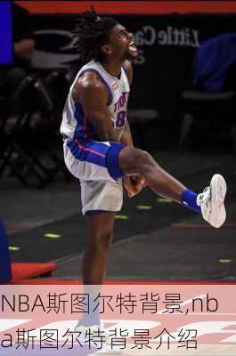 NBA斯图尔特背景,nba斯图尔特背景介绍