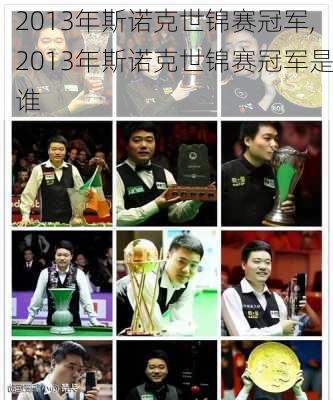 2013年斯诺克世锦赛冠军,2013年斯诺克世锦赛冠军是谁