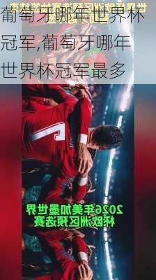 葡萄牙哪年世界杯冠军,葡萄牙哪年世界杯冠军最多