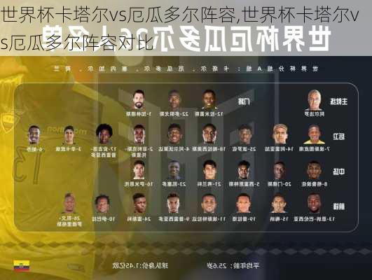 世界杯卡塔尔vs厄瓜多尔阵容,世界杯卡塔尔vs厄瓜多尔阵容对比