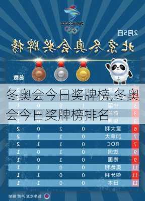 冬奥会今日奖牌榜,冬奥会今日奖牌榜排名