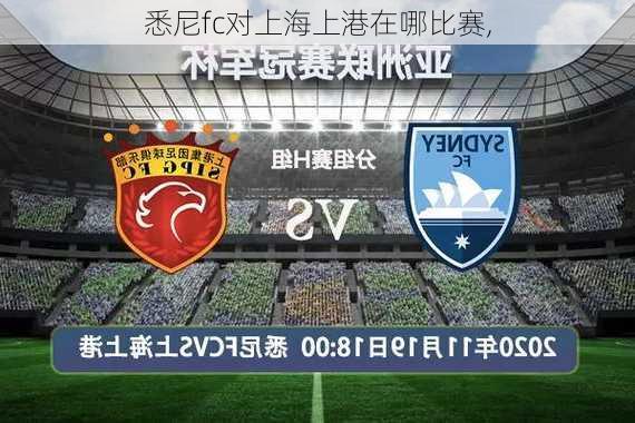 悉尼fc对上海上港在哪比赛,