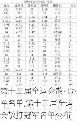 第十三届全运会散打冠军名单,第十三届全运会散打冠军名单公布