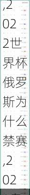 俄罗斯奥运会禁赛原因,2022世界杯俄罗斯为什么禁赛,2021奥运会俄罗斯为什么禁赛