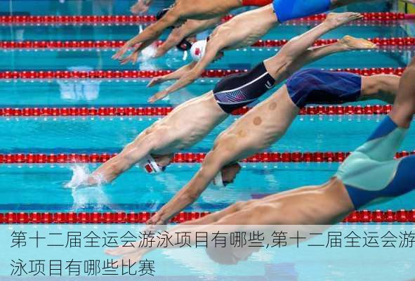 第十二届全运会游泳项目有哪些,第十二届全运会游泳项目有哪些比赛