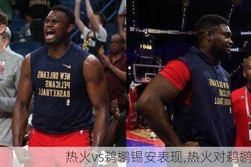 热火vs鹈鹕锡安表现,热火对鹈鹕
