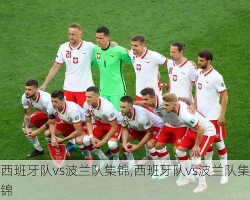 西班牙队vs波兰队集锦,西班牙队vs波兰队集锦