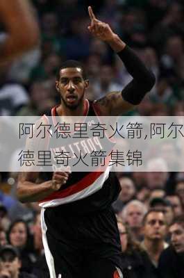 阿尔德里奇火箭,阿尔德里奇火箭集锦