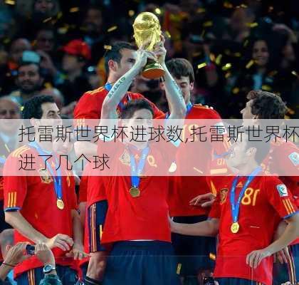 托雷斯世界杯进球数,托雷斯世界杯进了几个球