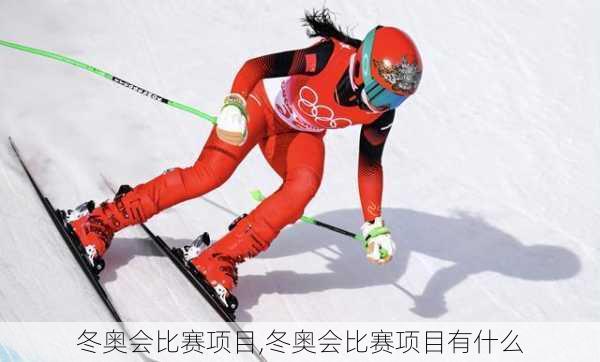 冬奥会比赛项目,冬奥会比赛项目有什么