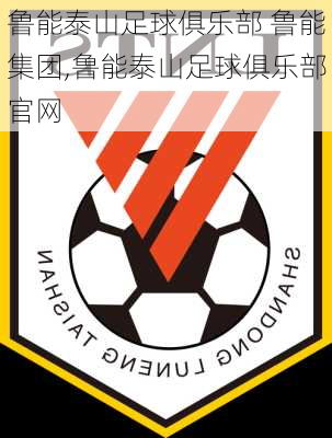 鲁能泰山足球俱乐部 鲁能集团,鲁能泰山足球俱乐部官网