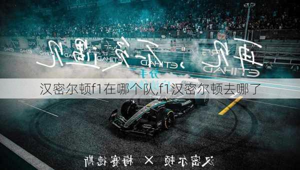 汉密尔顿f1在哪个队,f1汉密尔顿去哪了