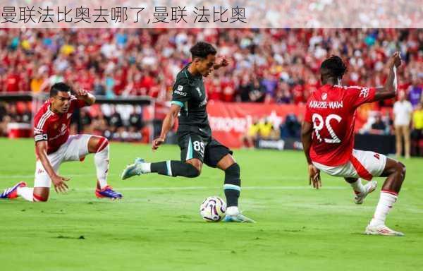 曼联法比奥去哪了,曼联 法比奥