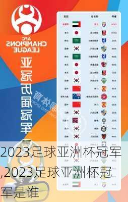 2023足球亚洲杯冠军,2023足球亚洲杯冠军是谁