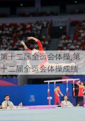 第十二届全运会体操,第十二届全运会体操成绩