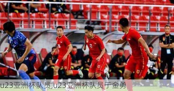 u23亚洲杯队员,u23亚洲杯队员于金勇