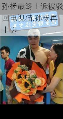 孙杨最终上诉被驳回电视猫,孙杨再上诉