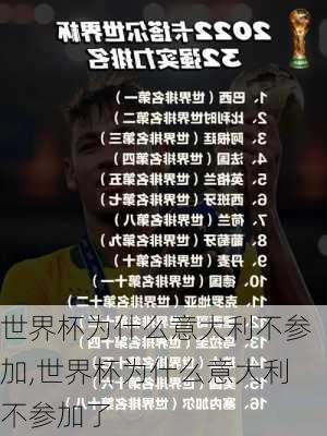 世界杯为什么意大利不参加,世界杯为什么意大利不参加了