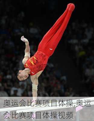 奥运会比赛项目体操,奥运会比赛项目体操视频