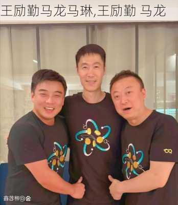 王励勤马龙马琳,王励勤 马龙