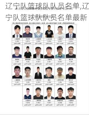 辽宁队篮球队队员名单,辽宁队篮球队队员名单最新