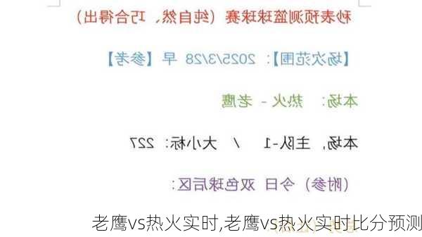 老鹰vs热火实时,老鹰vs热火实时比分预测