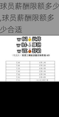 球员薪酬限额多少,球员薪酬限额多少合适