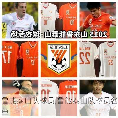 鲁能泰山队球员,鲁能泰山队球员名单