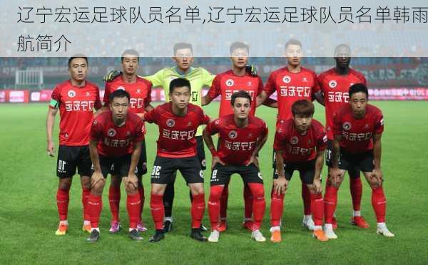 辽宁宏运足球队员名单,辽宁宏运足球队员名单韩雨航简介