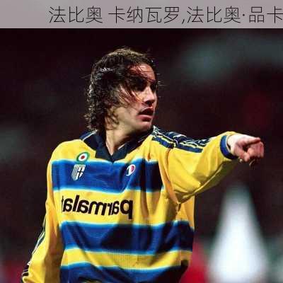 法比奥 卡纳瓦罗,法比奥·品卡