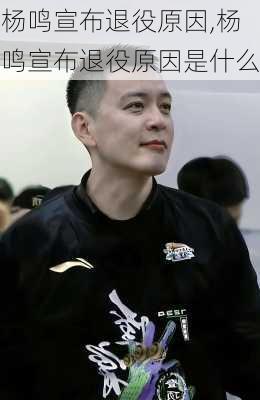 杨鸣宣布退役原因,杨鸣宣布退役原因是什么