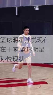 篮球明星孙悦现在在干嘛,篮球明星孙悦现状