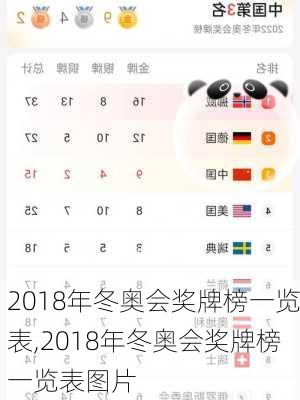 2018年冬奥会奖牌榜一览表,2018年冬奥会奖牌榜一览表图片